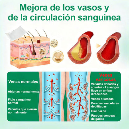 🇵🇦👨‍⚕️✅ Healrize® VeinTarget parche de microagujas ⚡ Alivio inmediato, resultados duraderos
